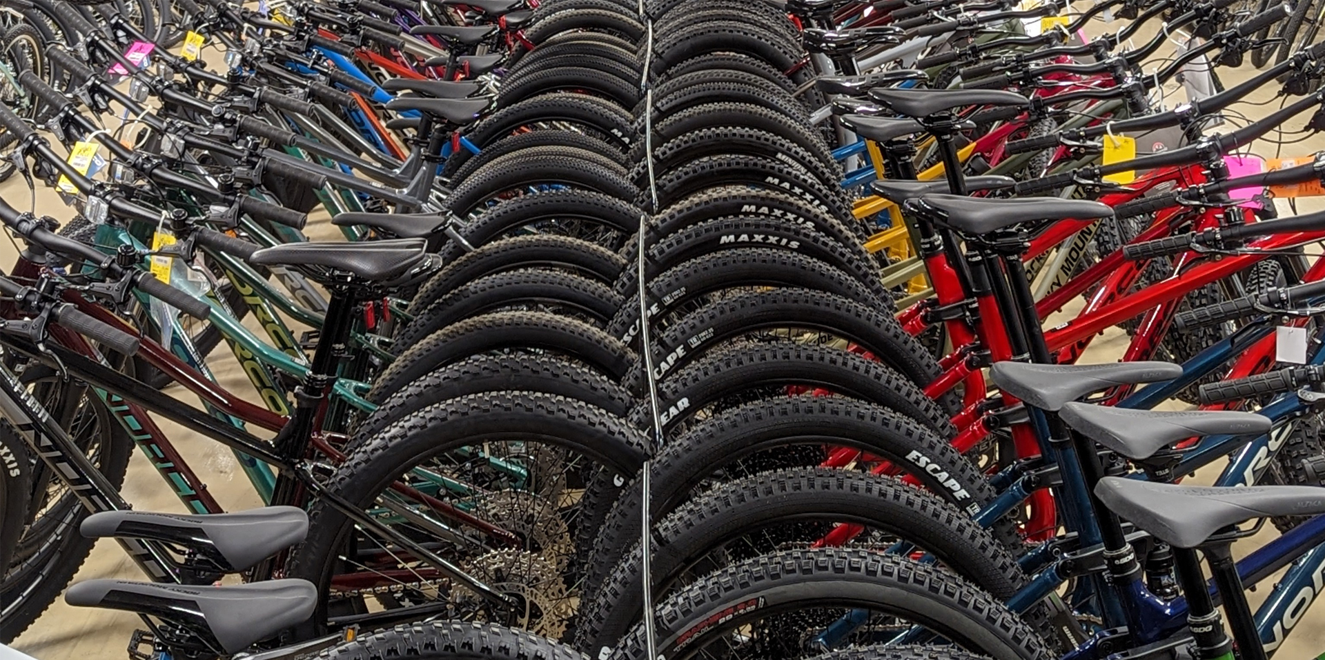 lots of bikes