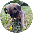 Jen Ventnor profile picture