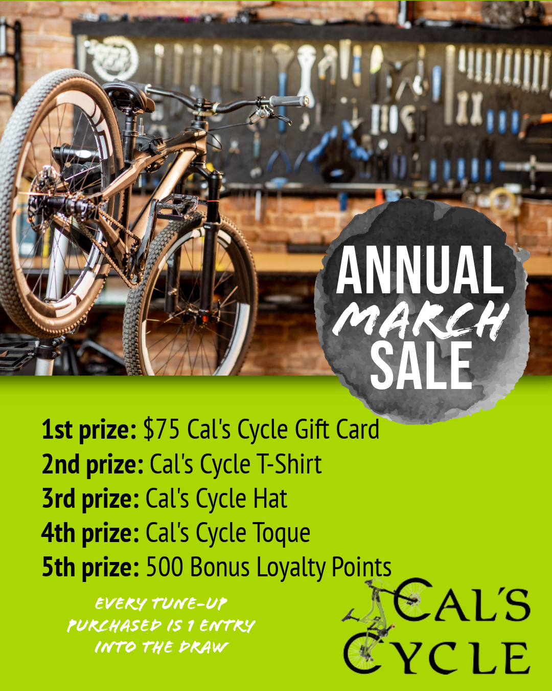 March Tune up Sale '26 2