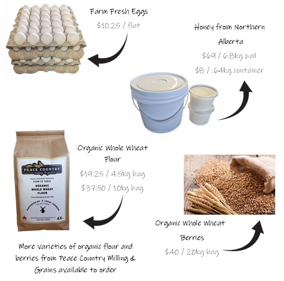 Website Food